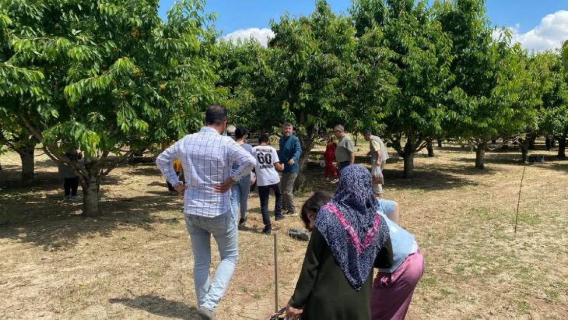 Kiraz bahçesini halka açtı