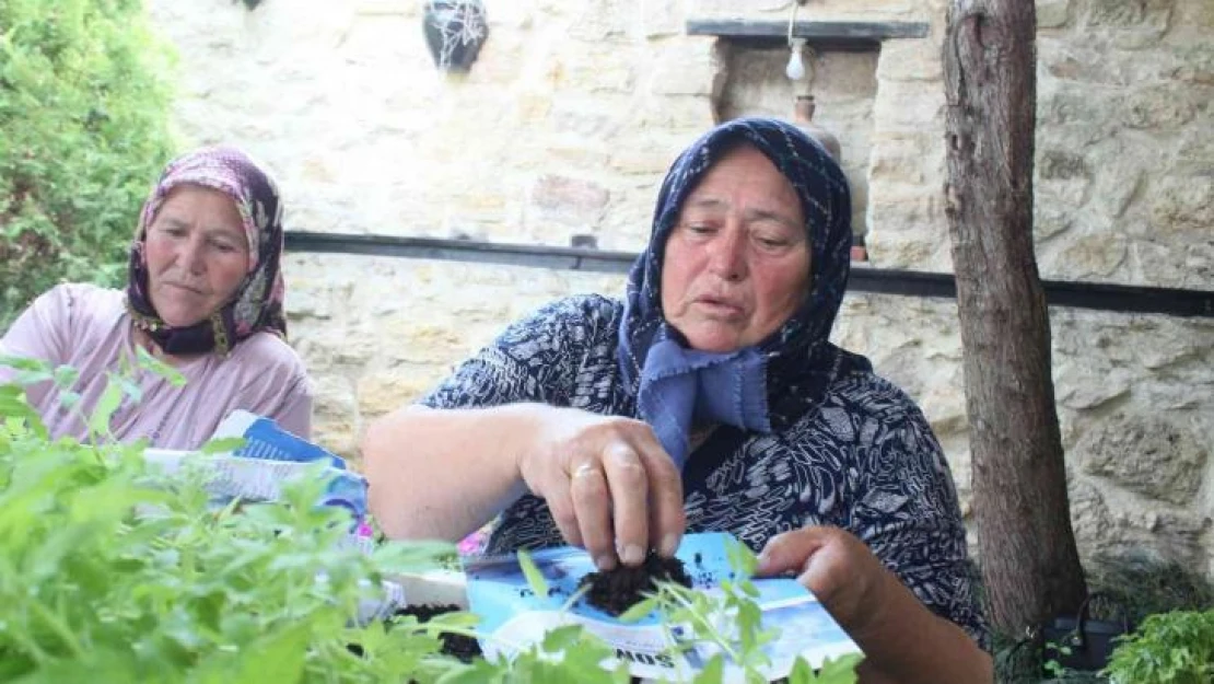 Kırklareli'nde ata tohumdan üretilen fideler dağıtıldı