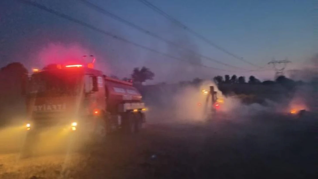 Kırklareli'nde çıkan yangında samanlar küle döndü