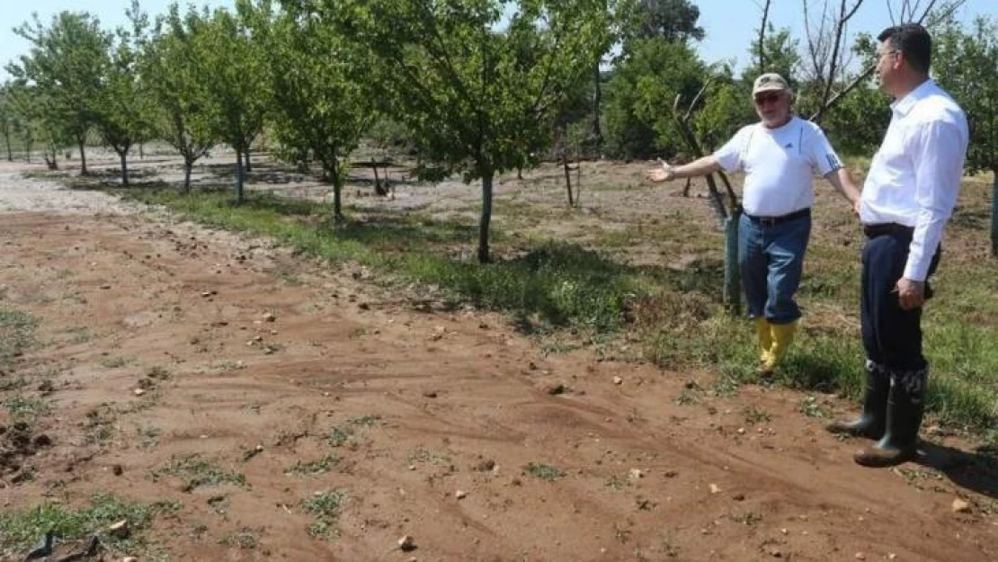 Kırklareli'nde dün etkili olan dolu tarım arazilerine zarar verdi