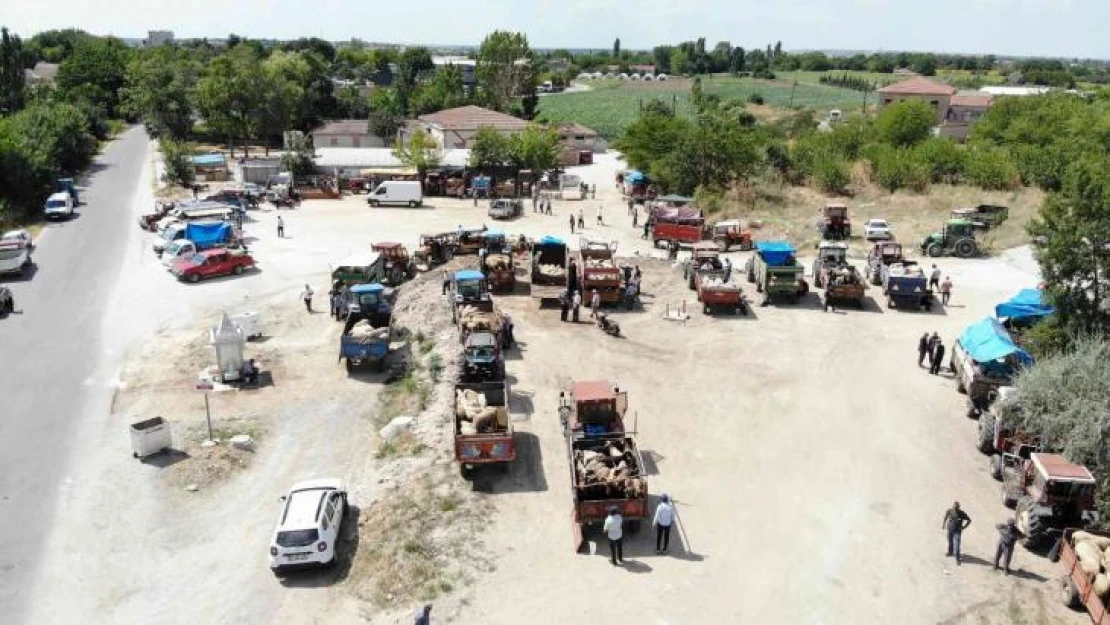 Kırklareli'nde kurbanlıklar alıcısını bekliyor