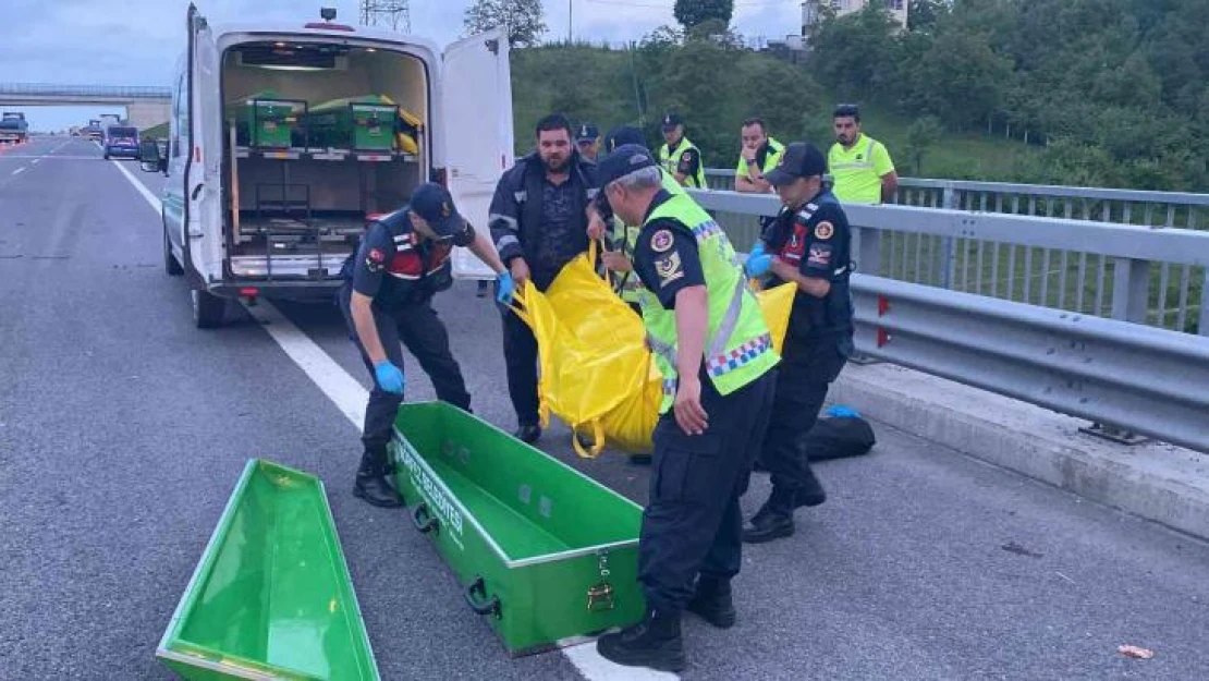 Kocaeli'de feci kaza: Arızalanan tırdan indi, başka bir tırın çarpması sonucu öldü