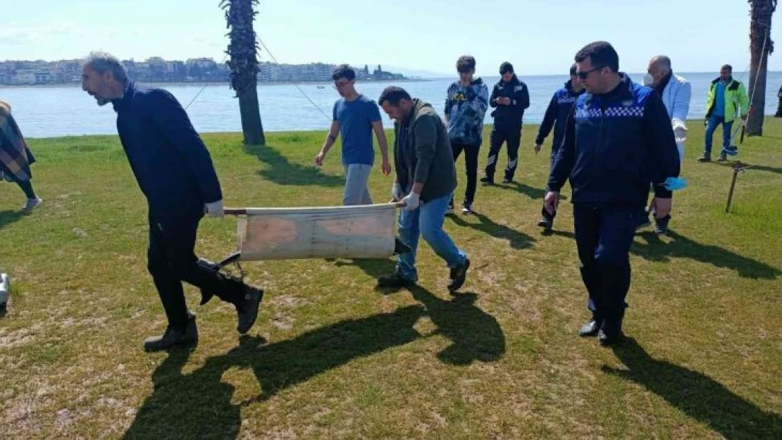 Kocaeli'de ölü yunus sahile vurdu