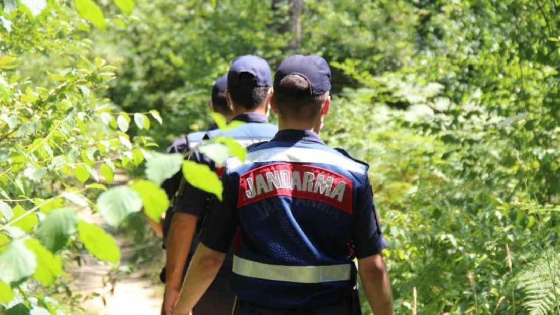 Kocaeli'de ormanda konaklamak ve mangal yapmak yasaklanıyor