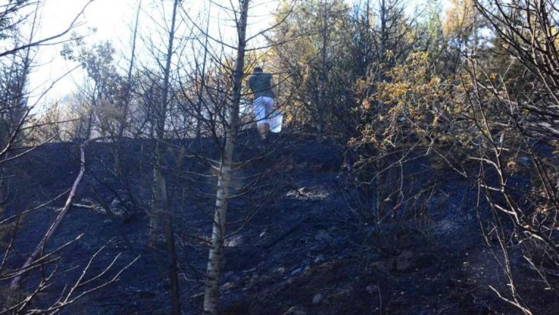 Kocaeli'de ormanlık alanda çıkan yangın güçlükle söndürüldü