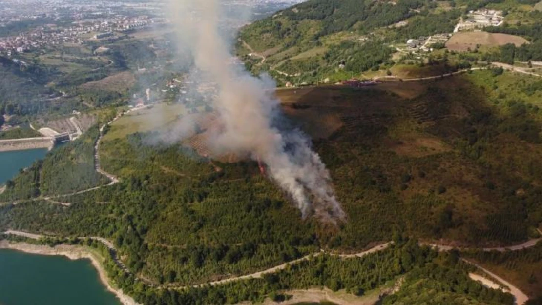 Kocaeli'de ormanlık alanda yangın çıktı, söndürme çalışmaları devam ediyor