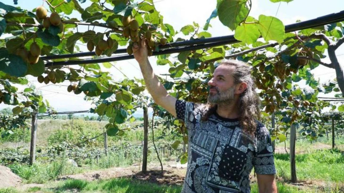 Kuaförlüğü bırakıp çiftçi oldu: Kivi yetiştiriyor