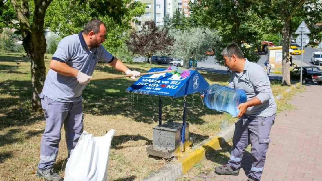 Küçükçekmece'de hayvan dostu belediyecilik