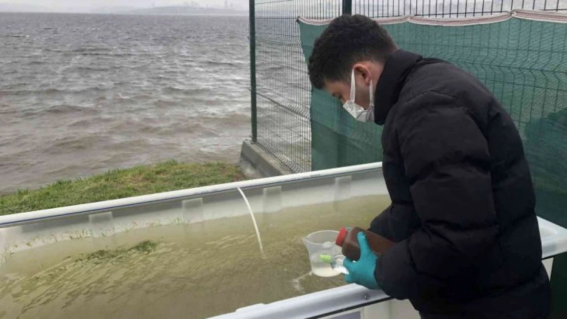 Küçükçekmece Lagünü Islah Projesi başlatıldı