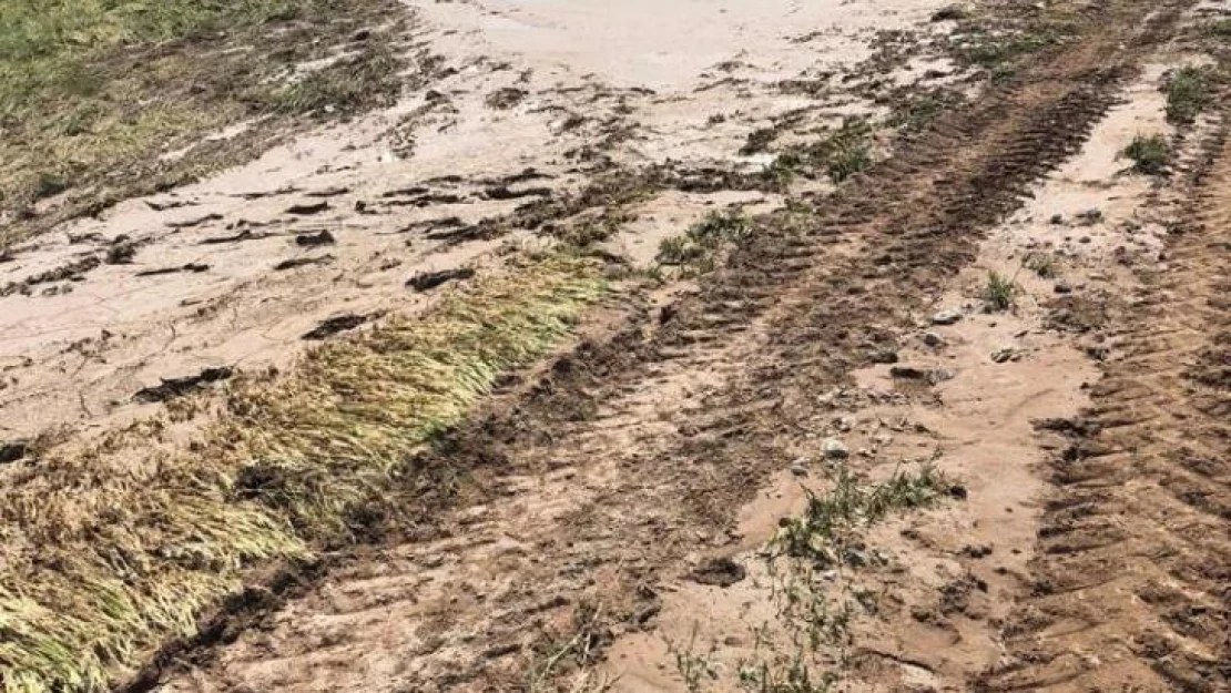 Kulu'da şiddetli yağışlar yaklaşık 3 bin dekar ekili alana zarar verdi