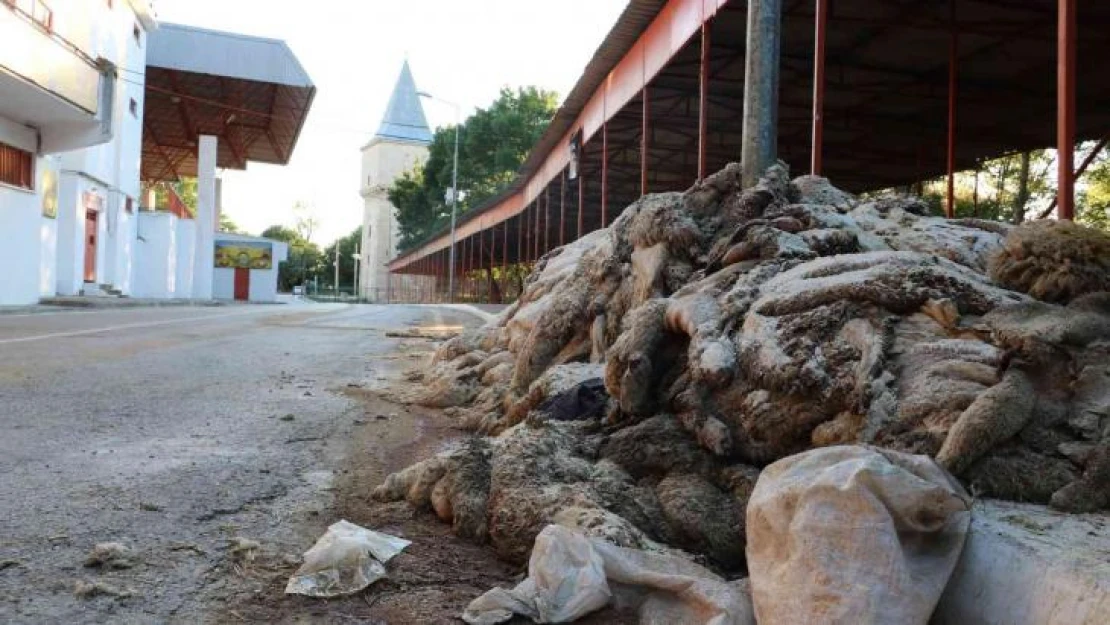 Kurban derileri Kırkpınar Er Meydanı'nda kokmaya başladı