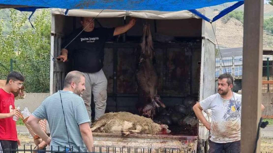 Kurbanını kimi kamyon kasasında, kimi ağaçlık alanda kesti