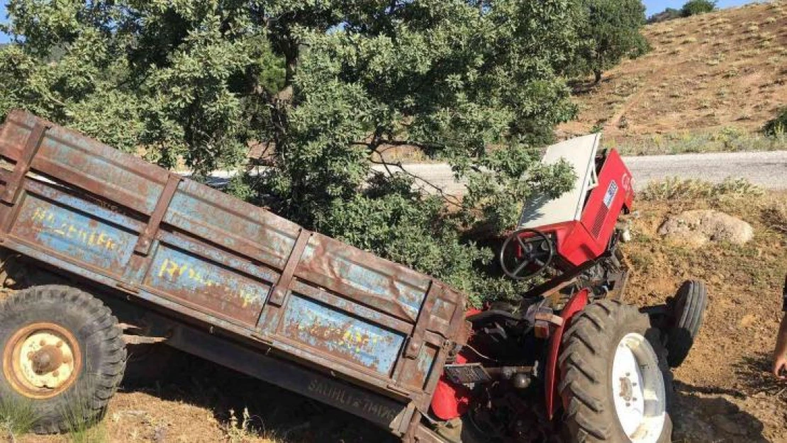 Kurbanlık satmaya giderken kaza yaptı