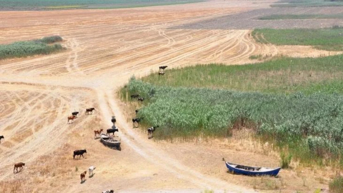 Kuruyan Marmara Gölü, Bozdağ'ın suyu ile hayat bulacak