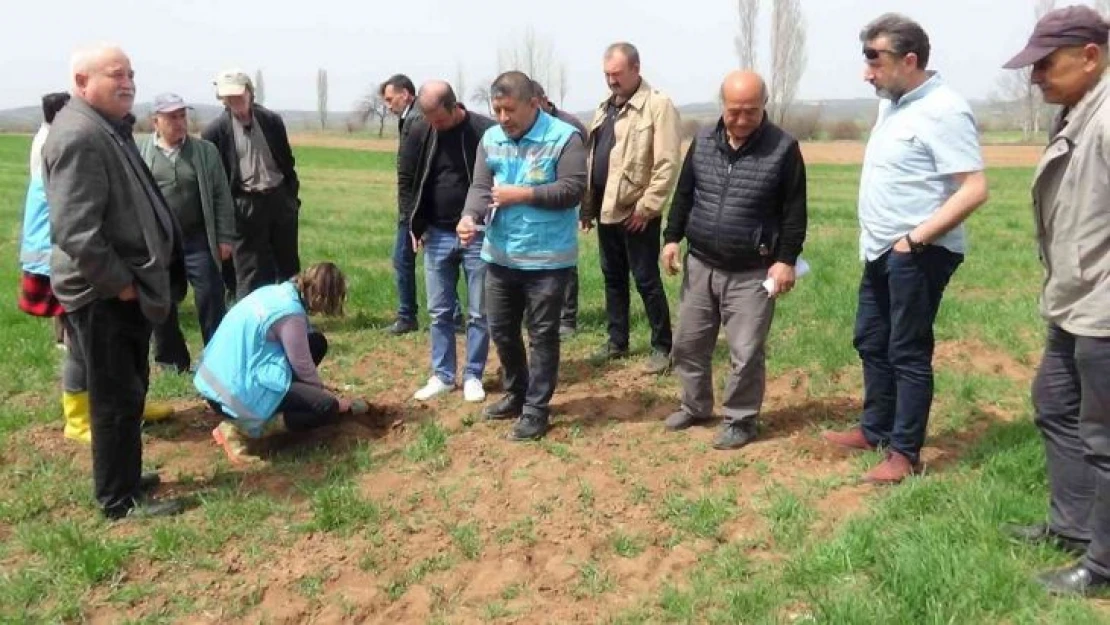 Kütahya'da 'Zabrus' seferberliği