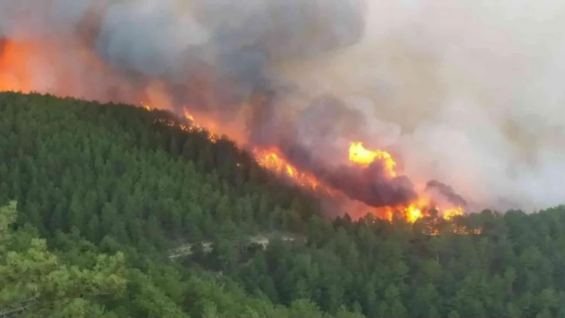 Kütahya'da orman yangını çıktı