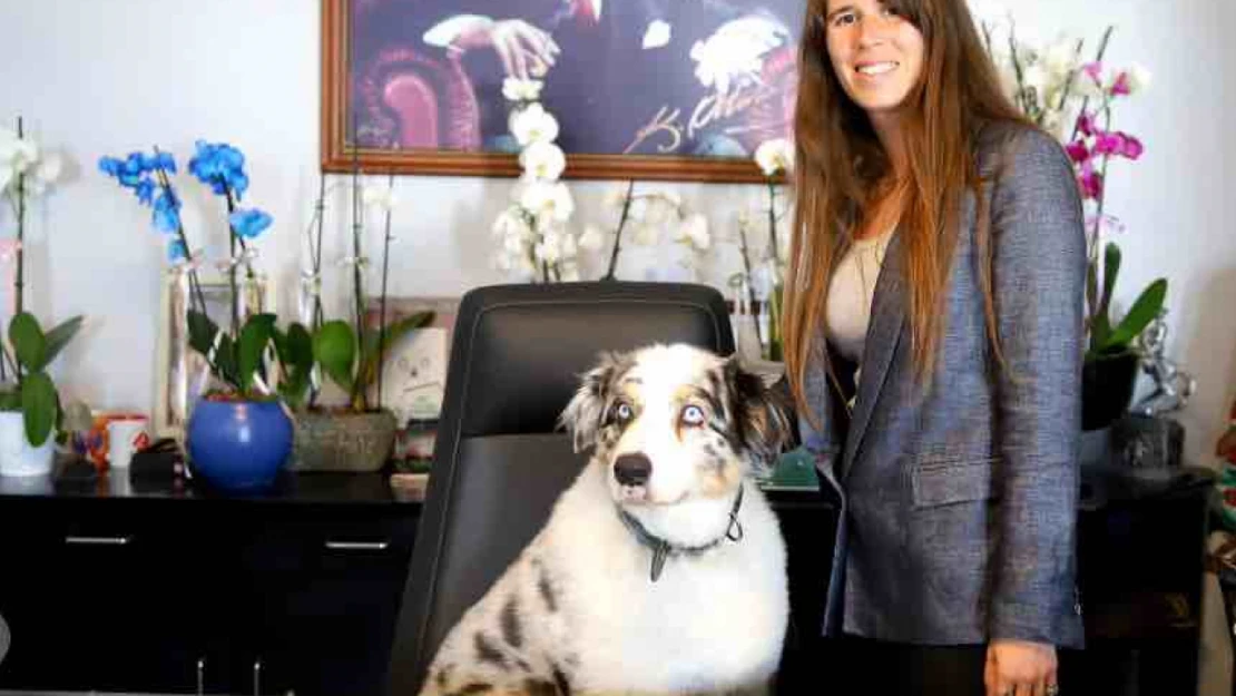 Makam koltuğuna köpeğini oturtan belediye başkanına hem destek hem eleştiri
