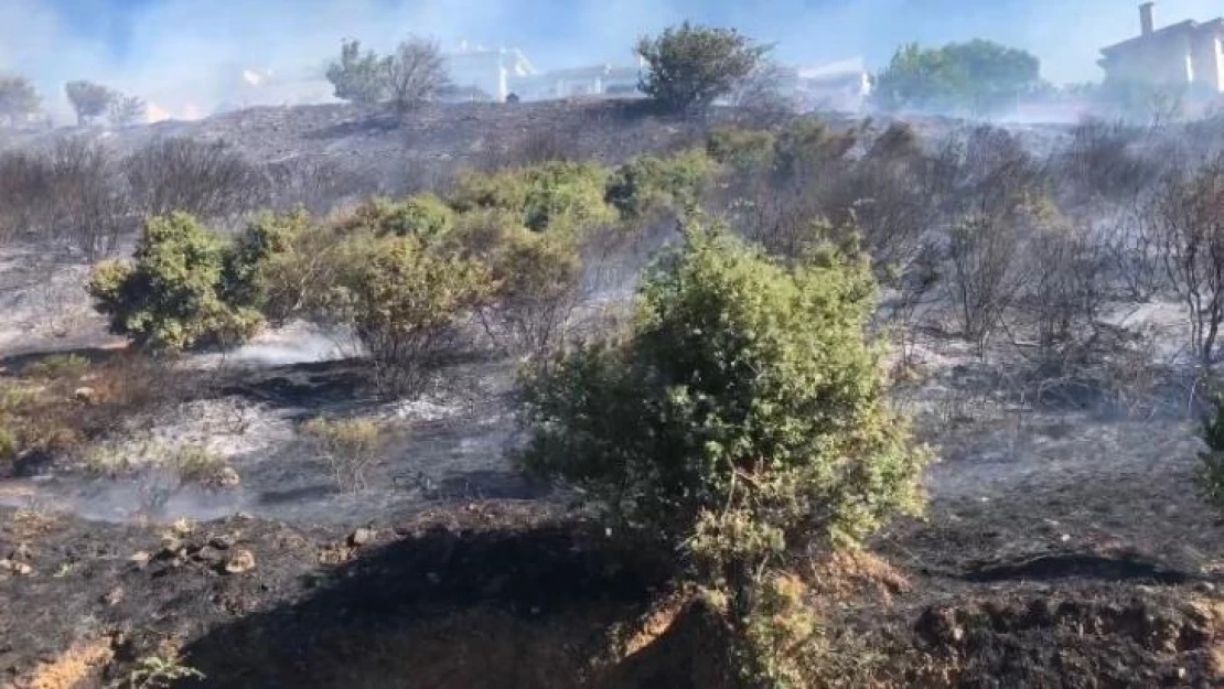 Maltepe'de otluk alanda yangın çıktı. İtfaiye ekiplerinin yangına müdahalesi sürüyor.