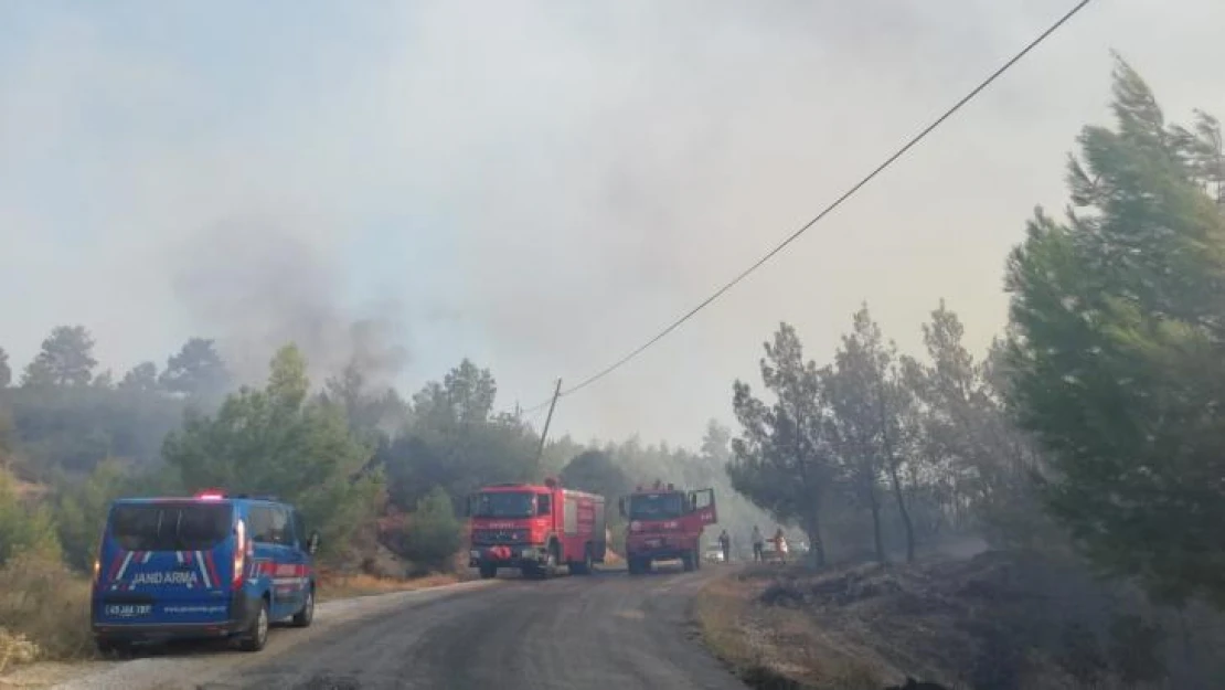 Manisa'da orman yangını çıktı