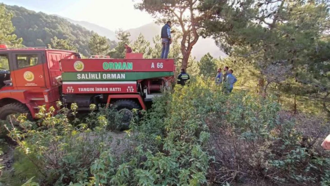 Manisa'da orman yangını