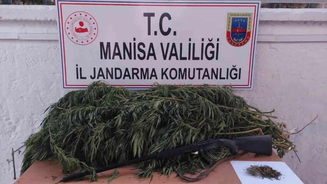 Manisa'da uyuşturucu operasyonları: 1 kişi tutuklandı