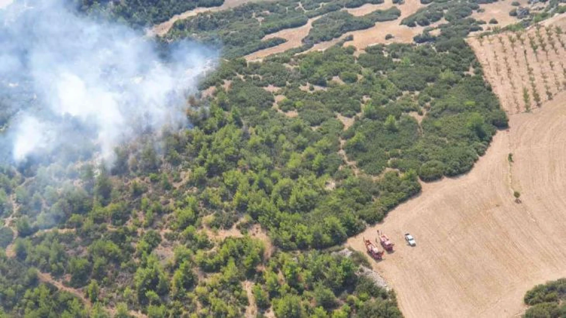 Manisa'daki orman yangını kontrol altına alındı