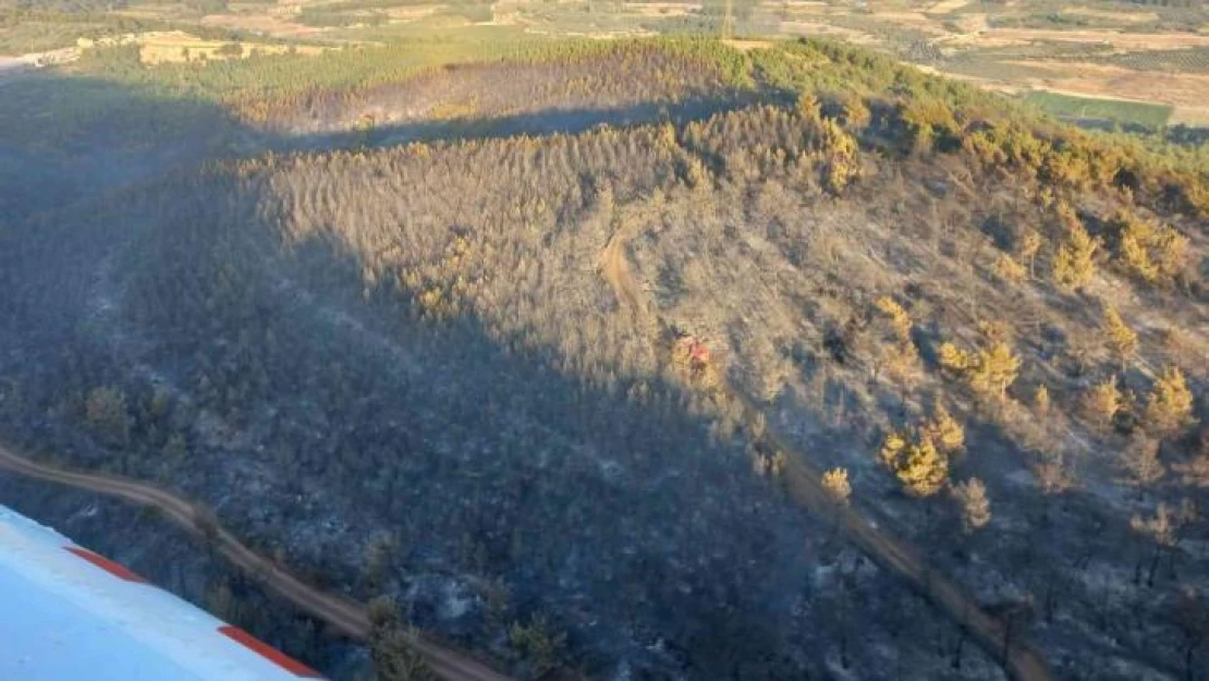 Manisa'daki yangın kontrol altına alındı