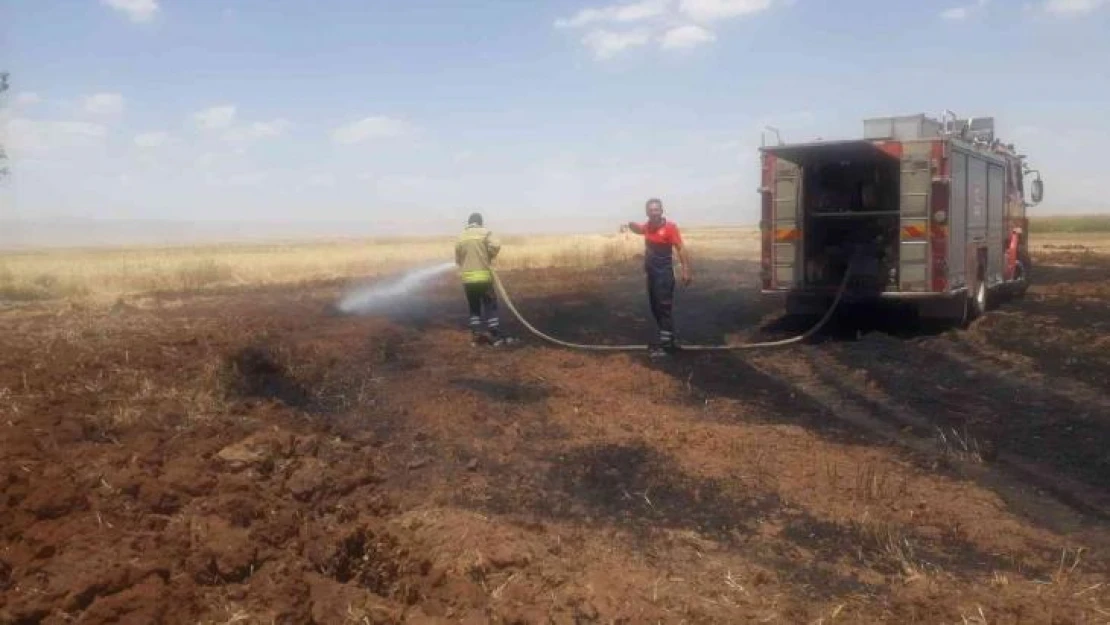 Mardin'de 100 dönümlük buğday tarlası kül oldu