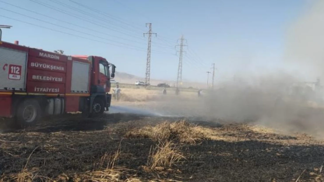 Mardin'de buğday ekili arazide yangın, 55 dönüm kül oldu