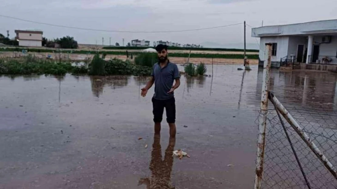 Mardin'de su borusu patladı: Yüzlerce kümes hayvanı telef oldu