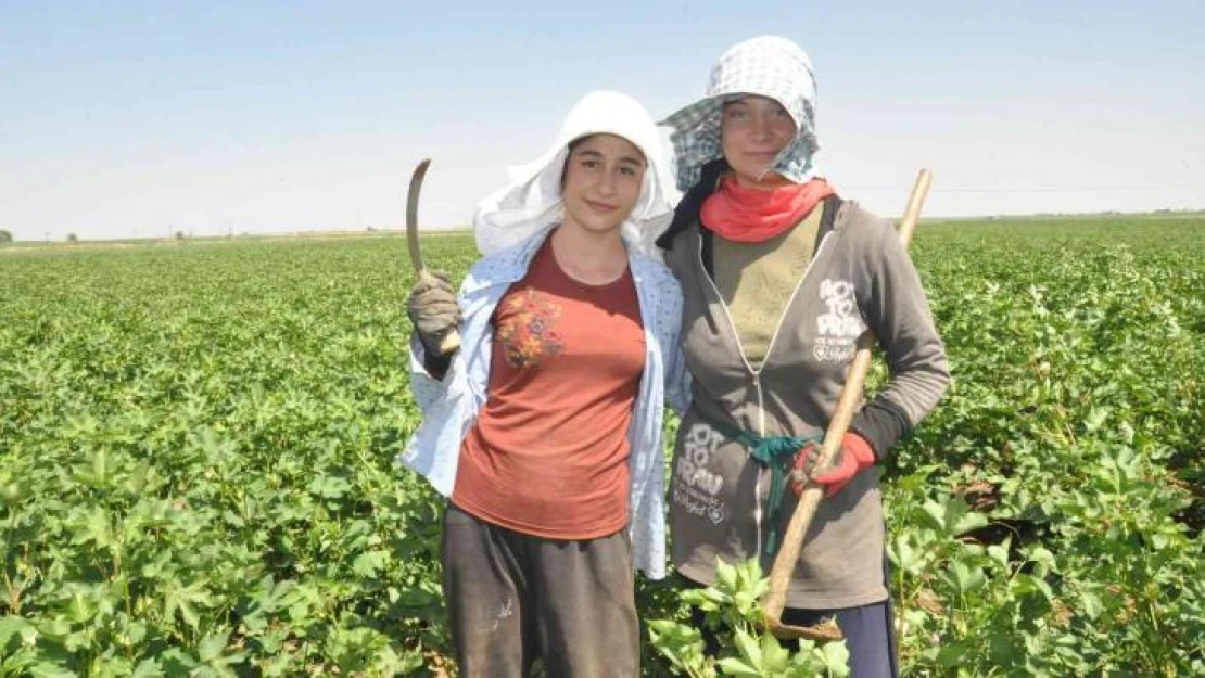 Mardinli kuzenler 45 derece sıcaklıkta eğitim masrafları için çapa salıyor