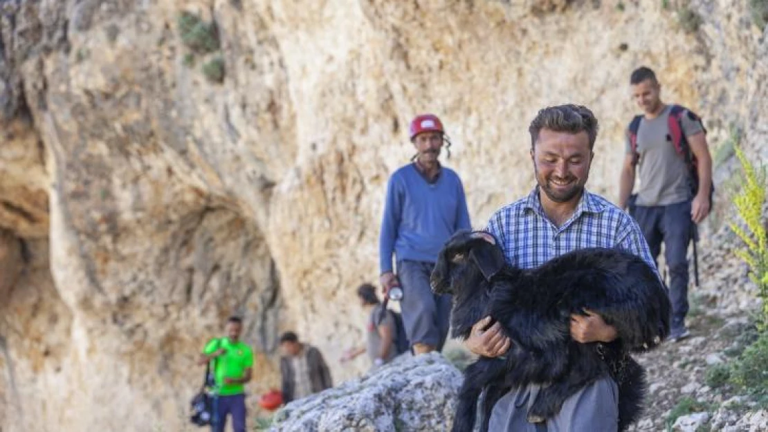 Mersin'de 15 metrelik obruğa düşen keçiyi itfaiye kurtardı