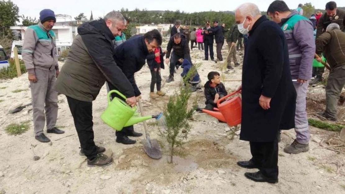 Mersin'de 35 hektar alana 45 bin fidan dikildi