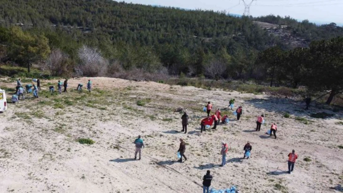 Mersin'de bal ormanı çevresi çöplerden temizlendi