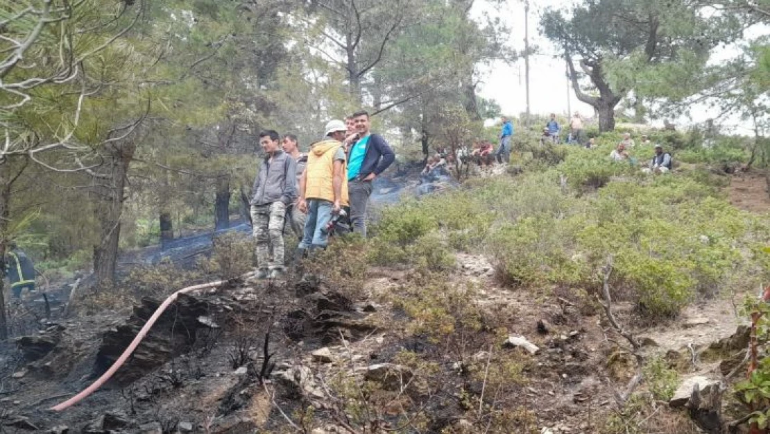 Mersin'de orman yangını büyümeden söndürüldü