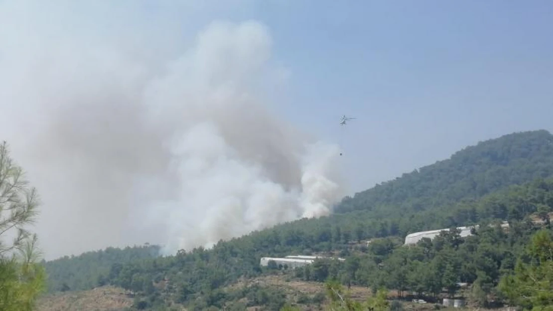 Mersin'de orman yangınına 2 uçak ve 5 helikopterle müdahale ediliyor