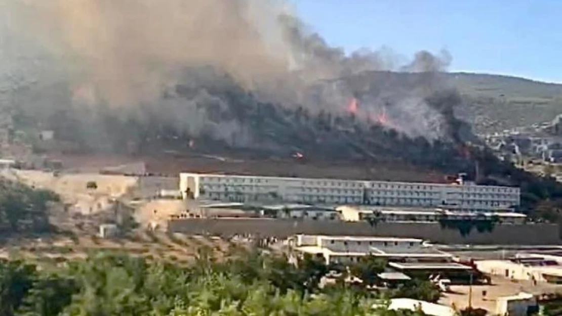 Mersin'deki orman yangını kontrol altına alındı