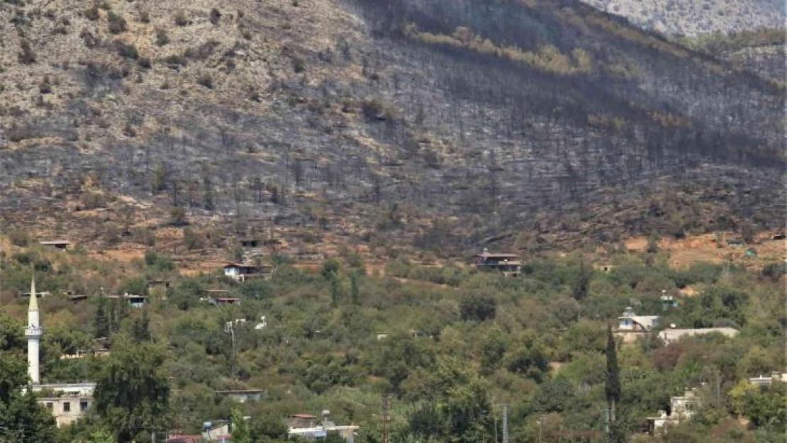 Mersin'deki orman yangını, küle dönen bölge havadan görüntülendi