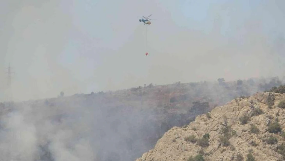 Mersin'deki orman yangınında soğutma çalışmaları sürüyor