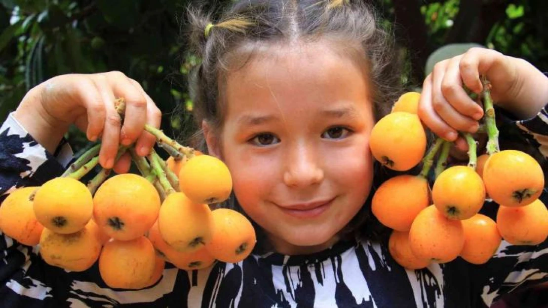 Mersin'in sarı altını yenidünya üreticisini fiyatıyla sevindirdi