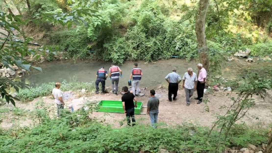 Mesire alanında suya düşen yaşlı adam boğularak hayatını kaybetti