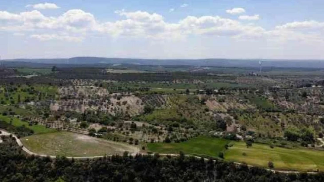 Meteoroloji orman yangınlarına karşı uyardı