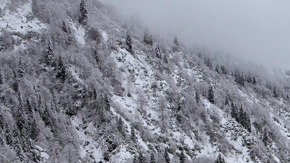 Meteorolojiden 'kar yağışı' uyarısı