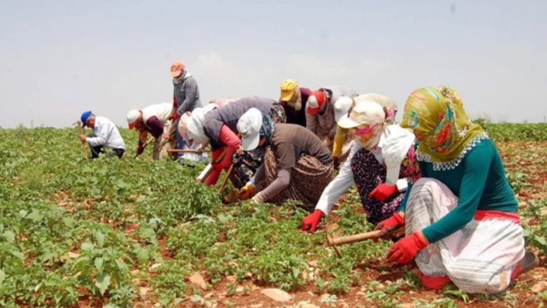 Mevsimlik işçi çocuklarının eğitimi için kritik düzenleme