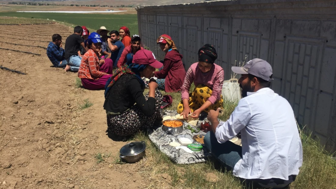 Mevsimlik tarım işçileri için bilgi sistemi kuruluyor (E-METİP)