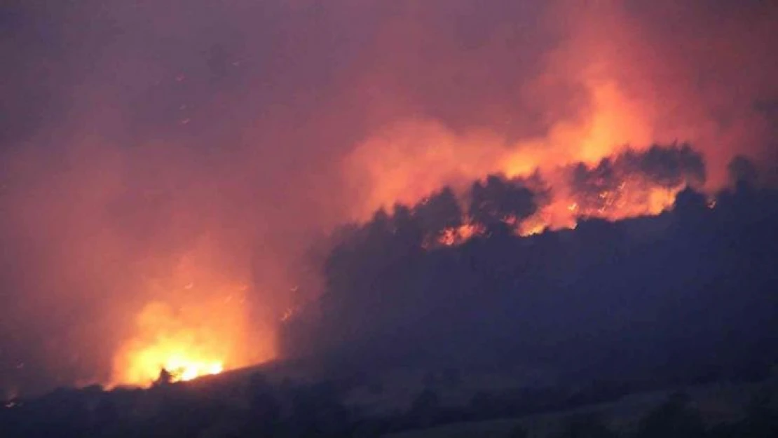 Muğla-Denizli sınırındaki yangını söndürme çalışmaları sürüyor