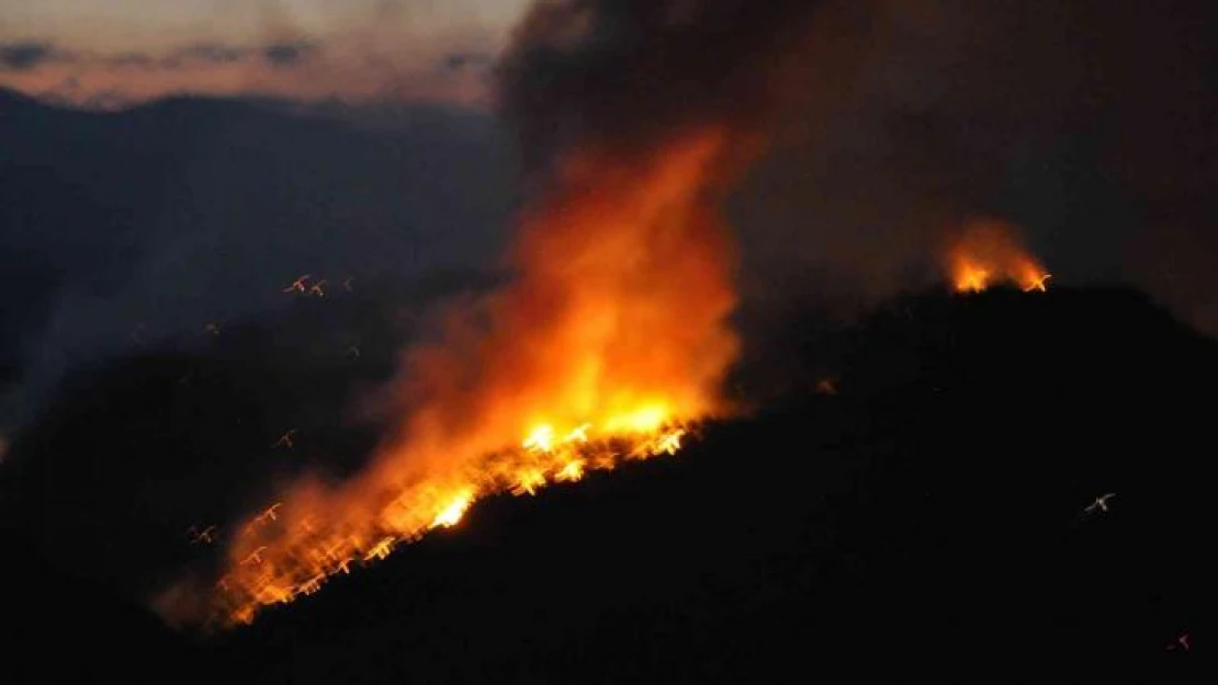 Muğla Gökova yangını devam ediyor