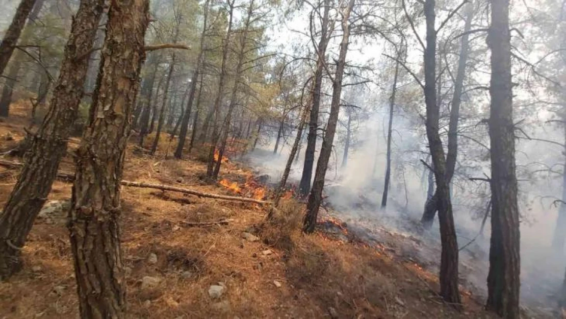 Muğla Valiliğinden Datça'daki orman yangını ile ilgili açıklama