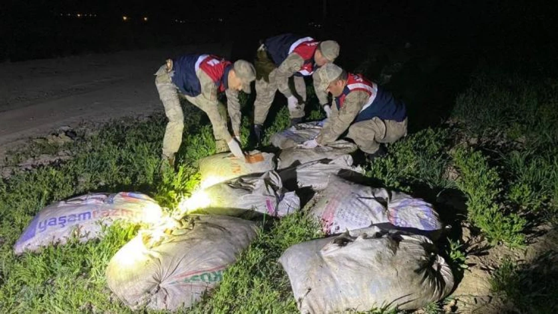 Muradiye'de kaçak avlanmış 6,5 ton balık ele geçirildi