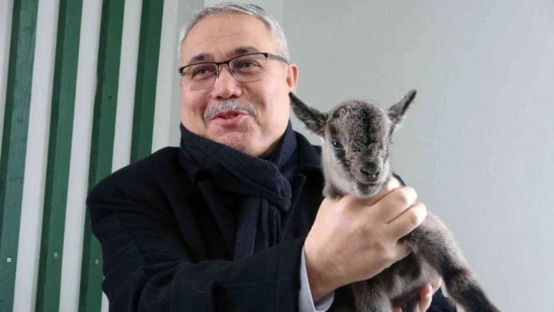 Muş hayvanat bahçesinin yeni üyesi dünyaya gözlerini açtı